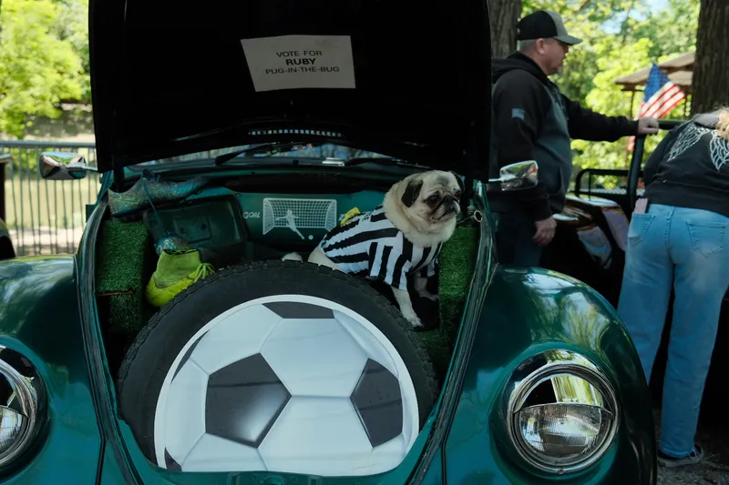 Glovebox Gallery Photograph